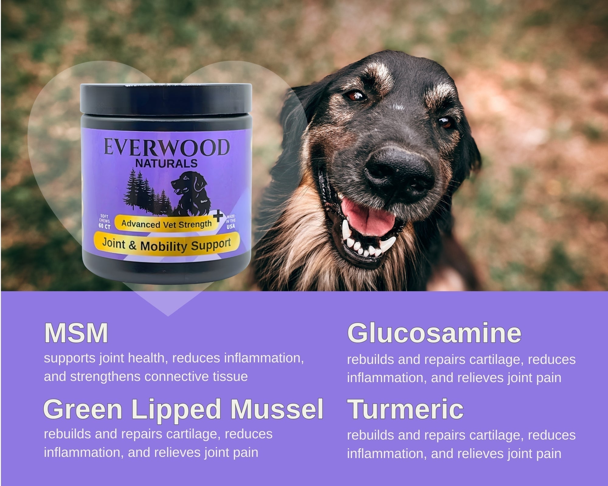 Everwood Naturals Advanced Vet Strength Joint & Mobility Dog Supplement Chews