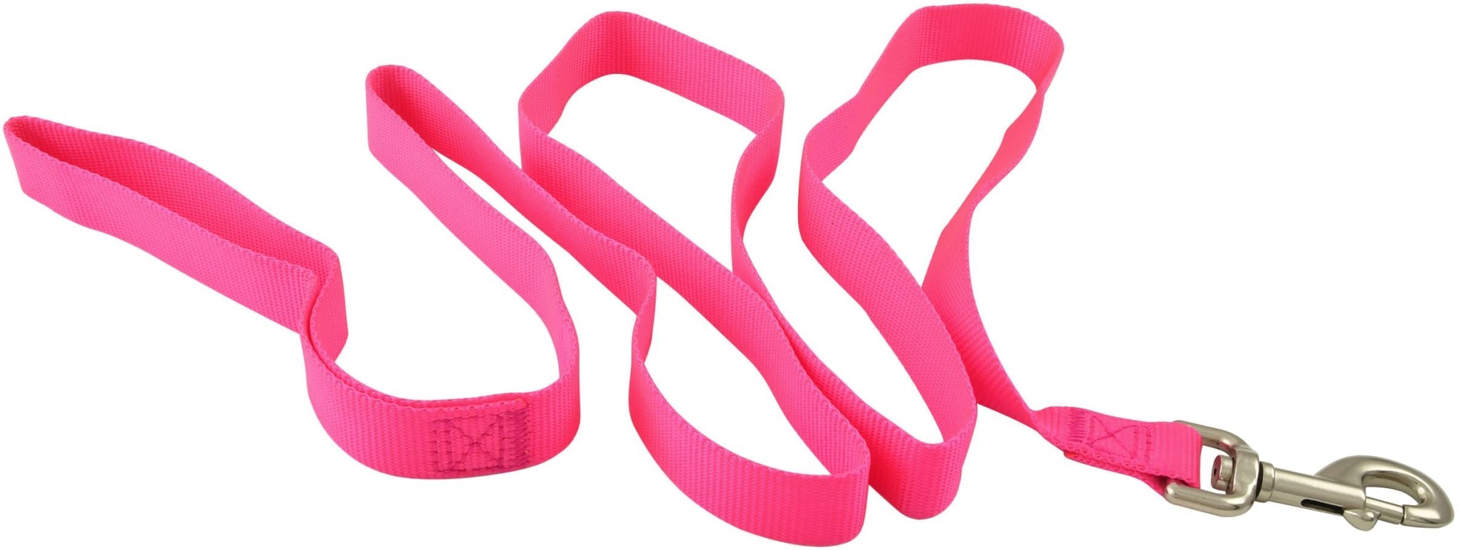 Jeffers 1-Ply Web Nylon Dog Leashes