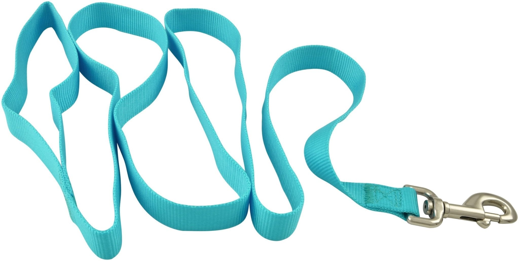 Jeffers 1-Ply Web Nylon Dog Leashes